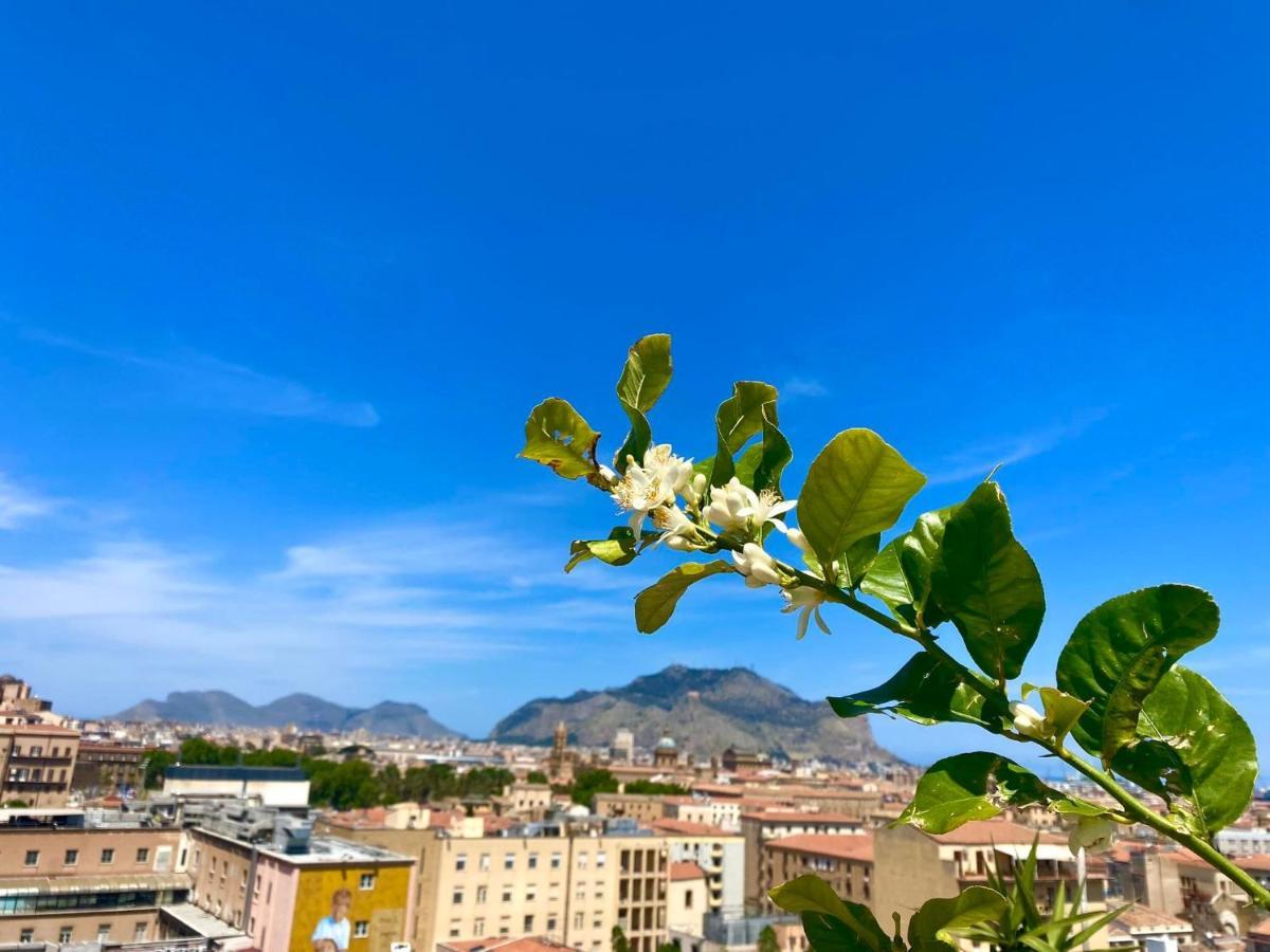 Lealbe Di Sicilia Panzió Palermo Kültér fotó
